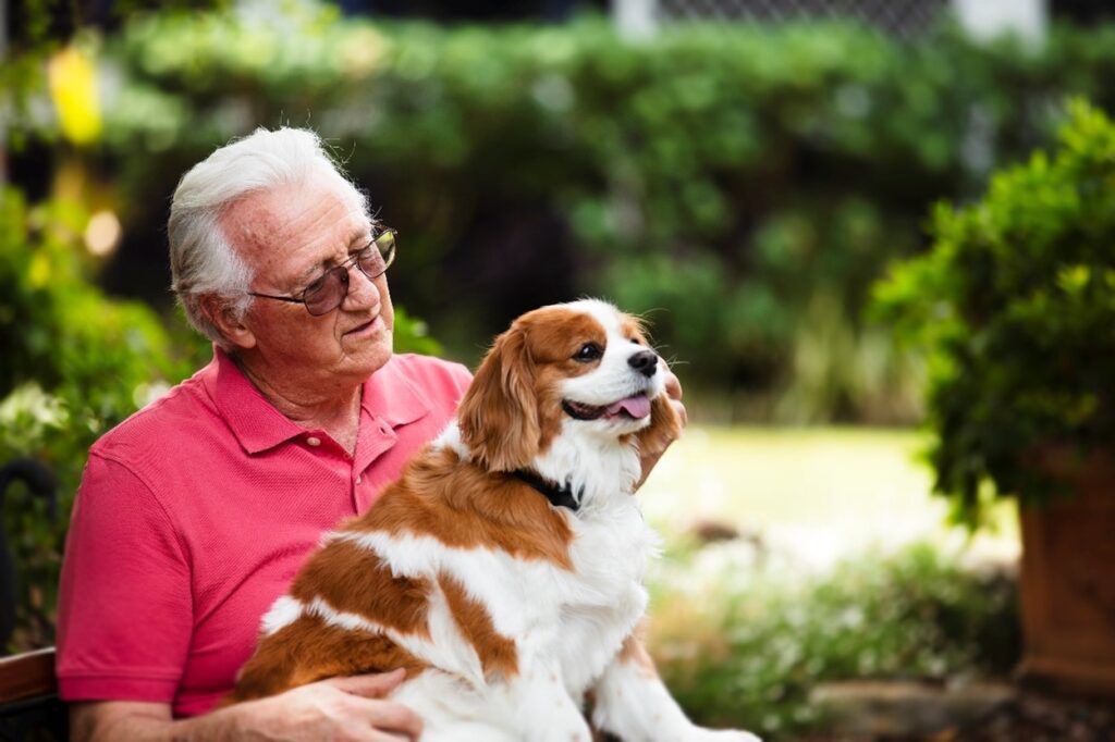 Image of a male aged care resident wearing glasses and a red polo shirt holding a Cavalier King Charles spaniel on his lap in garden.